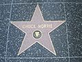 Chuck Norris Hollywood Star