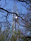 Colwick Wood Mast - geograph.org.uk - 2318.jpg