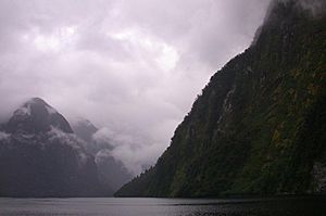 DoubtfulSound-TypicalScenery