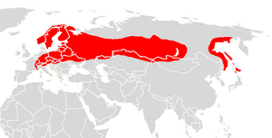 Eptesicus nilssoni range map.png