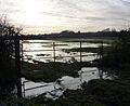 Gateway into wintry fields - geograph.org.uk - 1638572