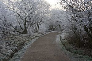 Guisborough Branch Walkway - geograph.org.uk - 698581