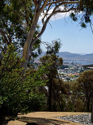 Hobart from UTAS 2014