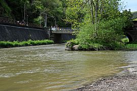 Klierf Wolz zu Kautebaach