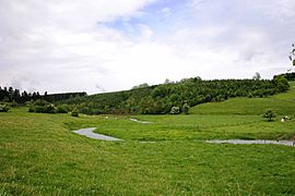 La Haute-Sûre à Winville