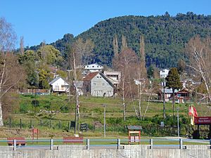 Lago Ranco Town.JPG