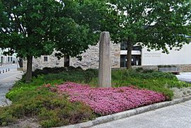 Le menhir de Plourin.jpg