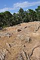 Lloret, Puig de Castellet, Mauerreste