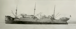 MS Jutlandia (1912)