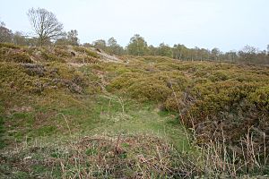 Maiden Castle ramparts