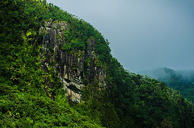 Mountain in Luquillo, Puerto Rico