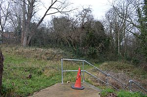 New Cross Gate Cutting 4