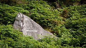 O'Connell's Rock at Tibradden