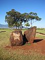 Oahu-Kukakaniloko-entrancestones-to-centralstones