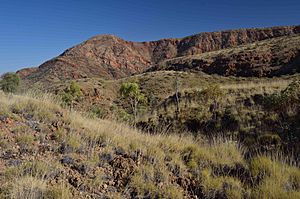 Ormiston gorge