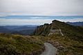 Paparoa Track