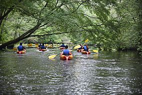 Pocomoke River State Park (48575137702).jpg