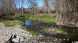 Rio tordera-sant celoni-2013