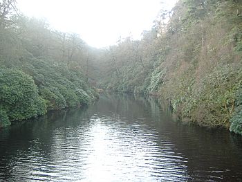 River Goyt.jpg