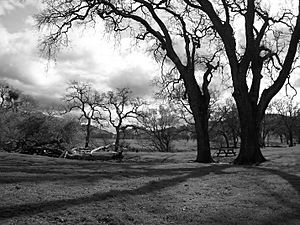 Round Valley Regional Park