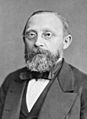 Rudolf Virchow NLM3