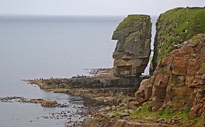 Sea stack at Lingavi Geo