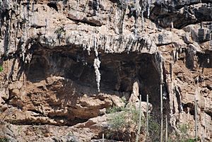 SeahorseCaveSumidero2