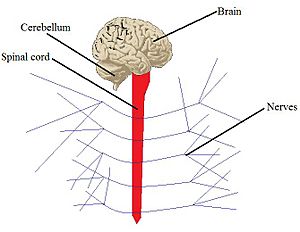 SystemExample