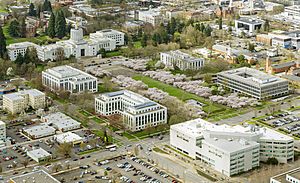 View of the Capitol Mall (33189030863)