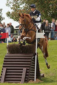 William fox pitt idalgo hillside badminton 2009