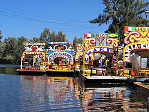 Xochimilco trajineras