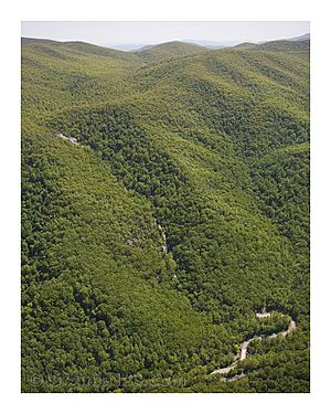 Aerial view of Crabtree Falls