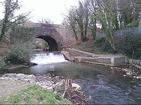 Afon Lwyd.jpg