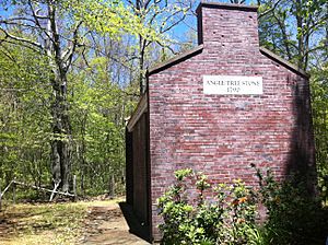 Angle Tree Stone Shelter 2016