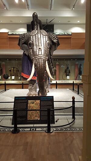 Armored elephant front