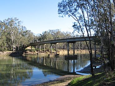 BarmahMurrayRiver.JPG