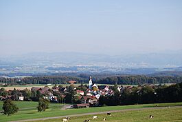 Beinwil (Freiamt) 196.jpg