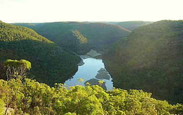 Berowra Creek - panoramio.jpg