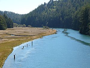 Big River California