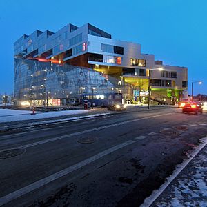 Bjarke ingels group, BIG JDS PLOT, mountain dwellings, copenhagen 2005-2008