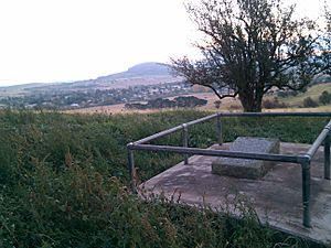 BraidwoodWilsonGrave