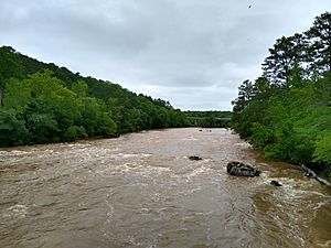 Bynum Bridge 3