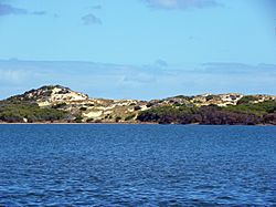 CSIRO ScienceImage 11539 Coastal dunes