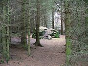 Clach Na Coileach or Cockstane - geograph.org.uk - 67135