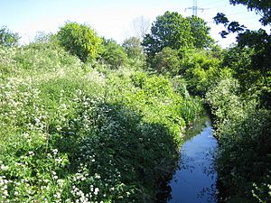 Dagenham Brook