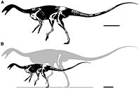 Deltadromeus skeletal.jpg