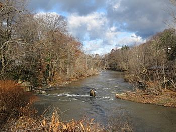 Eighteen Mile Creek Hamburg.jpg