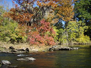 FallColorsOnTheCoosaRiver.jpg