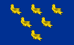 Flag of Sussex