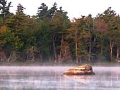 Frozen Ocean Lake morning